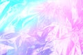 Vaporwave style holographic texture background: neon pink funky texture. Royalty Free Stock Photo