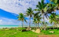 Gorgeous inviting view from tropical garden on Cuban Varadero beach, tranquil turquoise tender ocean against blue sky background