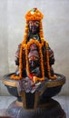Shiva statue in Kashi Vishwanath Temple