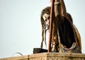 Varanasi, India: A hindu bearded sadhu, pilgrim or Aghori baba looking straight sitting with a stick against Royalty Free Stock Photo