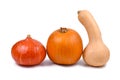 Varation of different types of squash vegetables with Butternut squash, Hokkaido squash and Pie pumpkin on white background Royalty Free Stock Photo