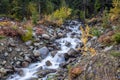 Varden Creek in Washington. Royalty Free Stock Photo