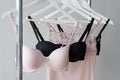 Vareity of bra hanging on a hanger. Textile, Underwear. Female bra in lingerie underwear store. Advertise, sale, fashion Royalty Free Stock Photo