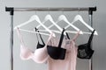 Vareity of bra hanging on a hanger. Textile, Underwear. Female bra in lingerie underwear store. Advertise, sale, fashion Royalty Free Stock Photo