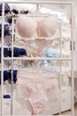 Vareity of bra hanging in lingerie underwear store. Advertise, Sale, Fashion concept Royalty Free Stock Photo