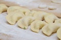 Vareniki dumplings or pelmeni before boiling