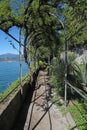 Lakeside walk in Villa Monastero, vertical