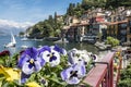 Varenna ( Lake Como ) Royalty Free Stock Photo