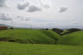 Vargas plateau, California