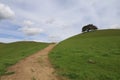 Vargas plateau, California