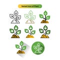 Variant icon of plant free for commercial use