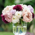 Peonies in vase, different kind of peonies in variant colors with blurred background.