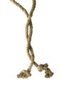 Variants of the rope with node