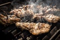 Varias Grilled chicken breast on barbeque
