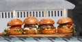 A variation of burgers displayed in a snack stand at the Karlin Street Food Festival in Prague. Royalty Free Stock Photo