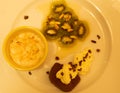 A variation of desserts served on a white plate: Chestnut chocolate terrine, marinated kiwi, and a vegan frangipane.