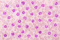 Variation of normal neutrophil cells or PMN cells in blood smear