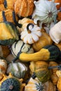 Variation of ornamental pumpkins full frame close up