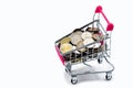 Variation of small shopping cart or mini supermarket trolley isolated on white background, trolley with coins