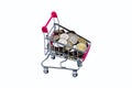 Variation of small shopping cart or mini supermarket trolley isolated on white background, trolley with coins