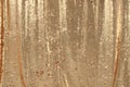 Abstract gold sequin textured background Royalty Free Stock Photo