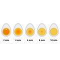 The variations of readiness of boiled chicken eggs in time in a longitudinal cross-section, options for recipe cooking eggs for