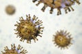 Varicella zoster or chickenpox virus