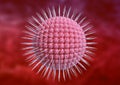 Varicella zoster virus is the cause of herpes in humans. Microscopic magnification Royalty Free Stock Photo