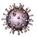 Varicella zoster virus illustration