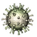 Varicella zoster virus illustration