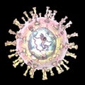 Varicella zoster virus illustration