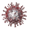 Varicella zoster virus illustration