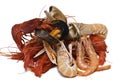 Varied seafood. Royalty Free Stock Photo