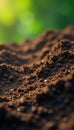 Varied soil profiles against blurred background, texture, composition