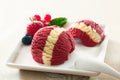 Variegated berry icecream Royalty Free Stock Photo