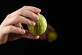 Variegated pink lemon Eureka lemon. Hand with whole lemon with green stripes, fresh fruit on black background Royalty Free Stock Photo