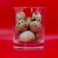 Variegated spotted quail eggs in a glass beaker