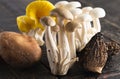 A Variet of Fresh Mushrooms on a Wooden Table Royalty Free Stock Photo