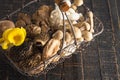A Variet of Fresh Mushrooms on a Wooden Table Royalty Free Stock Photo