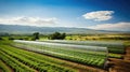 varieties agriculture research Royalty Free Stock Photo