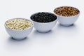 Varieties of beans in bowls, white background Royalty Free Stock Photo