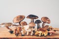 Mushroom types
