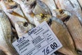 Varieties of fresh fish in market in Tavira, Portugal