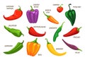 Varieties of pepper. Hot paprika. Cayenne bell. Cherry, jalapeno and serrano sorts. Spicy and sweet tastes. Vegetables