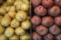 Varieties of potatoes Royalty Free Stock Photo