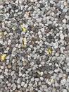 Varieties of small gray rocks and leafs for outdoors Royalty Free Stock Photo