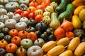 Varieties of squashes and pumpkins.