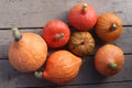 Varieties of squashes and pumpkins.