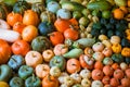 Varieties of squashes and pumpkins