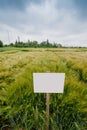 varieties of winter barley sectors demo plots with pointers